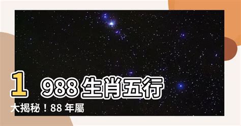 1988五行|【1988年五行】1988年五行屬什麼？龍年出生五行缺什麼？